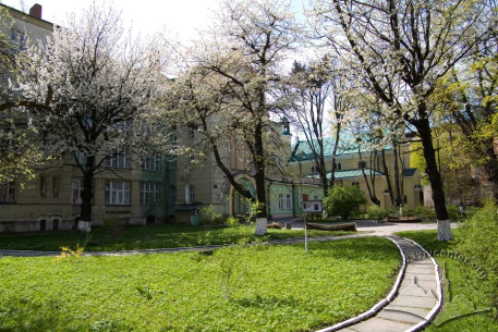 Вул. Залізняка, 11. Сад перед будинками кол. реколекційного дому і костелу