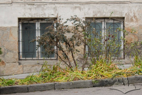 Vul. Vyshenskoho, 13. Windows of the half-basement floor