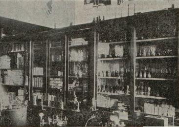 Nowości Ilustrowane, 1924, №41, 7